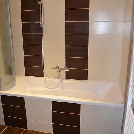 Comfortable Vlkova Appartement