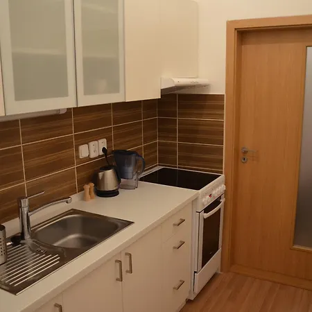 Comfortable Vlkova شقة