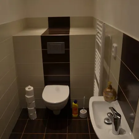Apartment Comfortable Vlkova *