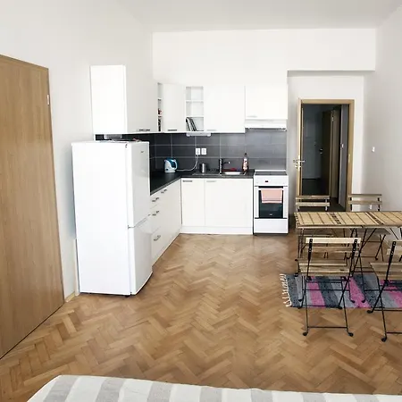 Apartment Comfortable Vlkova Prague