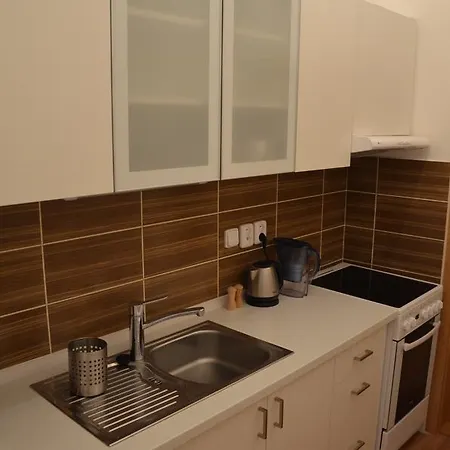 Comfortable Vlkova Apartment