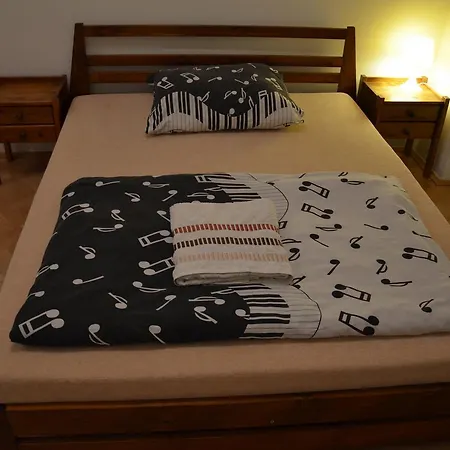 Comfortable Vlkova Apartment
